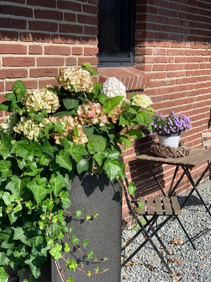 Appartements Unter Reet Tumlauer Koog Bagian luar foto